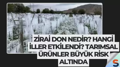 Zirai Don Nedir? Hangi İller Etkilendi? Tarımsal Ürünler Büyük Risk Altında