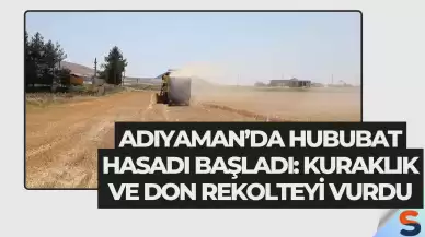 Adıyaman’da Hububat Hasadı Başladı: Kuraklık ve Don Rekolteyi Vurdu