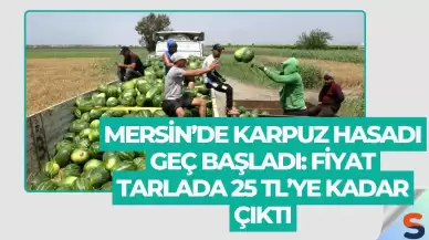 Mersin’de Karpuz Hasadı Geç Başladı: Fiyat Tarlada 25 TL’ye Kadar Çıktı