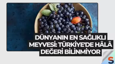 Dünyanın En Sağlıklı Meyvesi: Türkiye'de Hâlâ Değeri Bilinmiyor