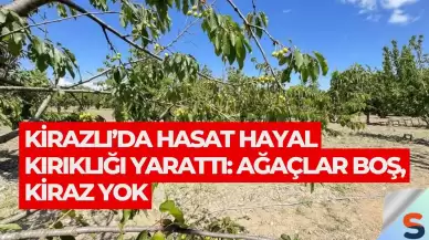 Kirazlı’da Hasat Hayal Kırıklığı Yarattı: Ağaçlar Boş, Kiraz Yok