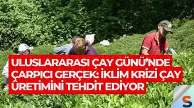 Uluslararası Çay Günü’nde Çarpıcı Gerçek: İklim Krizi Çay Üretimini Tehdit Ediyor