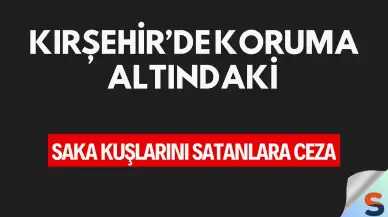 Kırşehir’de Koruma Altındaki Saka Kuşlarını Satanlara Ceza