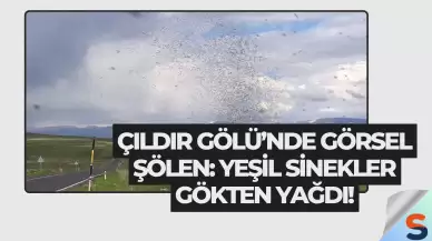 Çıldır Gölü’nde Görsel Şölen: Yeşil Sinekler Gökten Yağdı!
