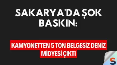 Sakarya'da Şok Baskın: Kamyonetten 5 Ton Belgesiz Deniz Midyesi Çıktı