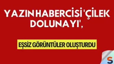 Yazın Habercisi 'Çilek Dolunayı', Eşsiz Görüntüler Oluşturdu