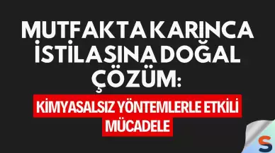 Mutfakta Karınca İstilasına Doğal Çözüm: Kimyasalsız Yöntemlerle Etkili Mücadele