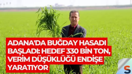 Adana'da Buğday Hasadı Başladı: Hedef 330 Bin Ton, Verim Düşüklüğü Endişe Yaratıyor