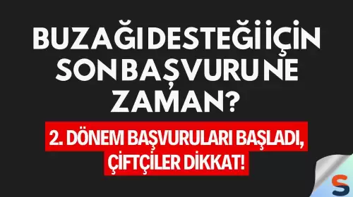 Buzağı desteği için son başvuru ne zaman? 2. dönem başvuruları başladı, çiftçiler dikkat!