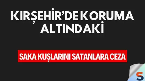 Kırşehir’de Koruma Altındaki Saka Kuşlarını Satanlara Ceza