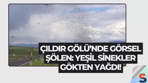 Çıldır Gölü’nde Görsel Şölen: Yeşil Sinekler Gökten Yağdı!