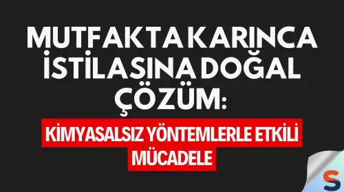 Mutfakta Karınca İstilasına Doğal Çözüm: Kimyasalsız Yöntemlerle Etkili Mücadele