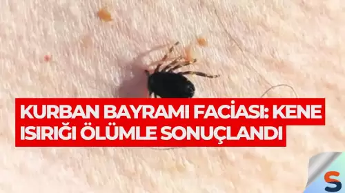 Kurban Bayramı Faciası: Kene Isırığı Ölümle Sonuçlandı