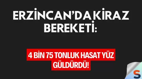 Erzincan’da Kiraz Bereketi: 4 Bin 75 Tonluk Hasat Yüz Güldürdü!