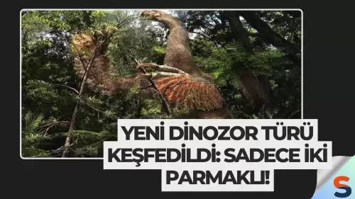 Yeni Dinozor Türü Keşfedildi: Sadece İki Parmaklı!