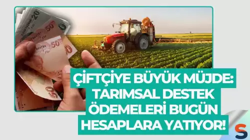 Çiftçiye Büyük Müjde: Tarımsal Destek Ödemeleri Bugün Hesaplara Yatıyor!