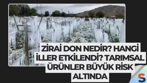 Zirai Don Nedir? Hangi İller Etkilendi? Tarımsal Ürünler Büyük Risk Altında