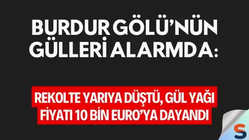 Burdur Gölü’nün Gülleri Alarmda: Rekolte Yarıya Düştü, Gül Yağı Fiyatı 10 Bin Euro’ya Dayandı