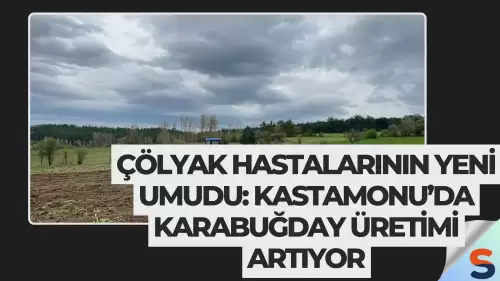 Çölyak Hastalarının Yeni Umudu: Kastamonu’da Karabuğday Üretimi Artıyor