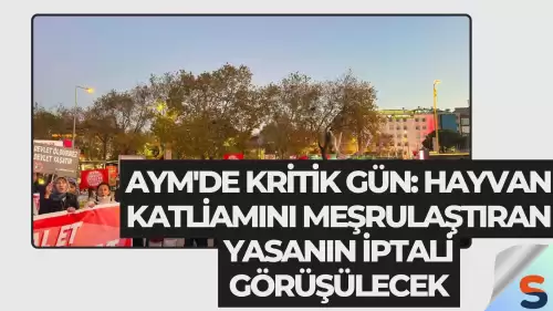 AYM'de Kritik Gün: Hayvan Katliamını Meşrulaştıran Yasanın İptali Görüşülecek