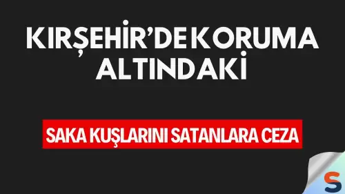 Kırşehir’de Koruma Altındaki Saka Kuşlarını Satanlara Ceza