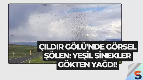 Çıldır Gölü’nde Görsel Şölen: Yeşil Sinekler Gökten Yağdı!