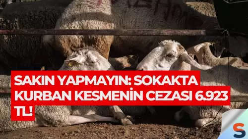 Sakın Yapmayın: Sokakta Kurban Kesmenin Cezası 6.923 TL!