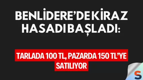 Benlidere’de Kiraz Hasadı Başladı: Tarlada 100 TL, Pazarda 150 TL’ye Satılıyor