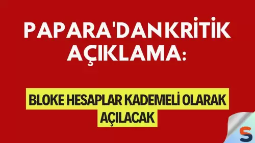 Papara'dan Kritik Açıklama: Bloke Hesaplar Kademeli Olarak Açılacak
