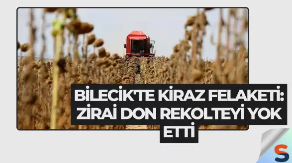 Bilecik'te Kiraz Felaketi: Zirai Don Rekolteyi Yok Etti