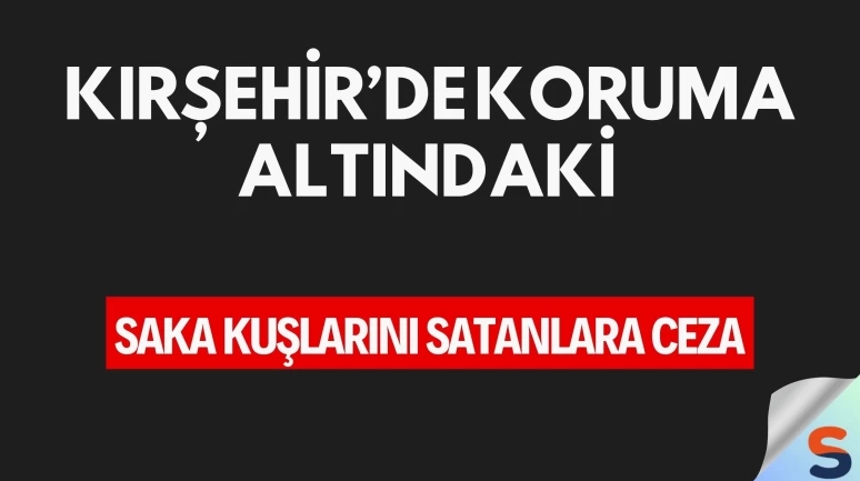 Kırşehir’de Koruma Altındaki Saka Kuşlarını Satanlara Ceza