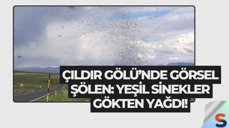 Çıldır Gölü’nde Görsel Şölen: Yeşil Sinekler Gökten Yağdı!