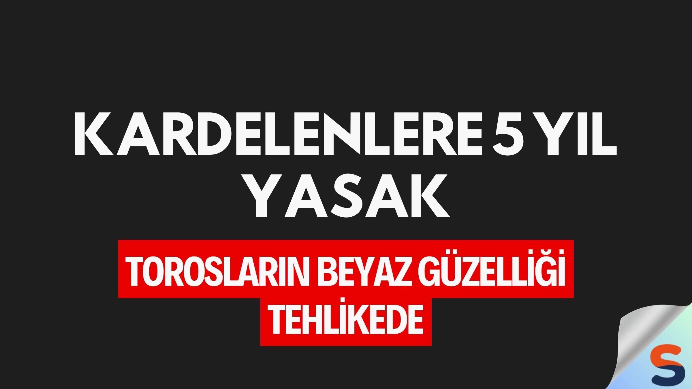 Kardelenlere 5 Yıl Yasak: Torosların Beyaz Güzelliği Tehlikede