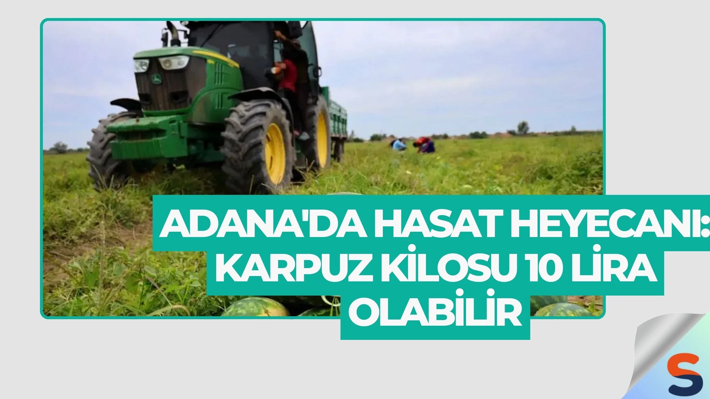 Adana'da Hasat Heyecanı: Karpuz Kilosu 10 Lira Olabilir