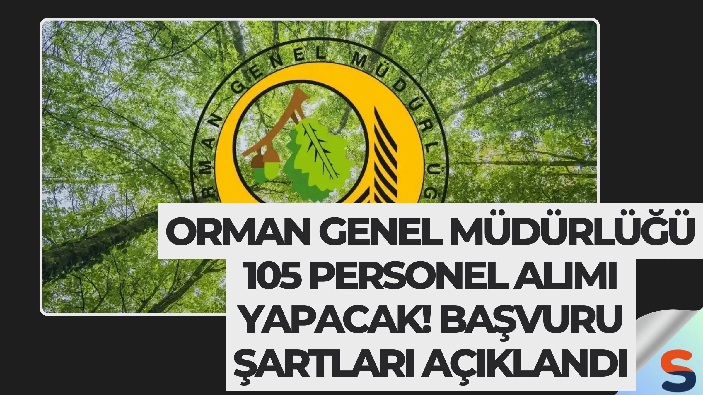 Orman Genel Müdürlüğü 105 Personel Alımı Yapacak! Başvuru Şartları Açıklandı