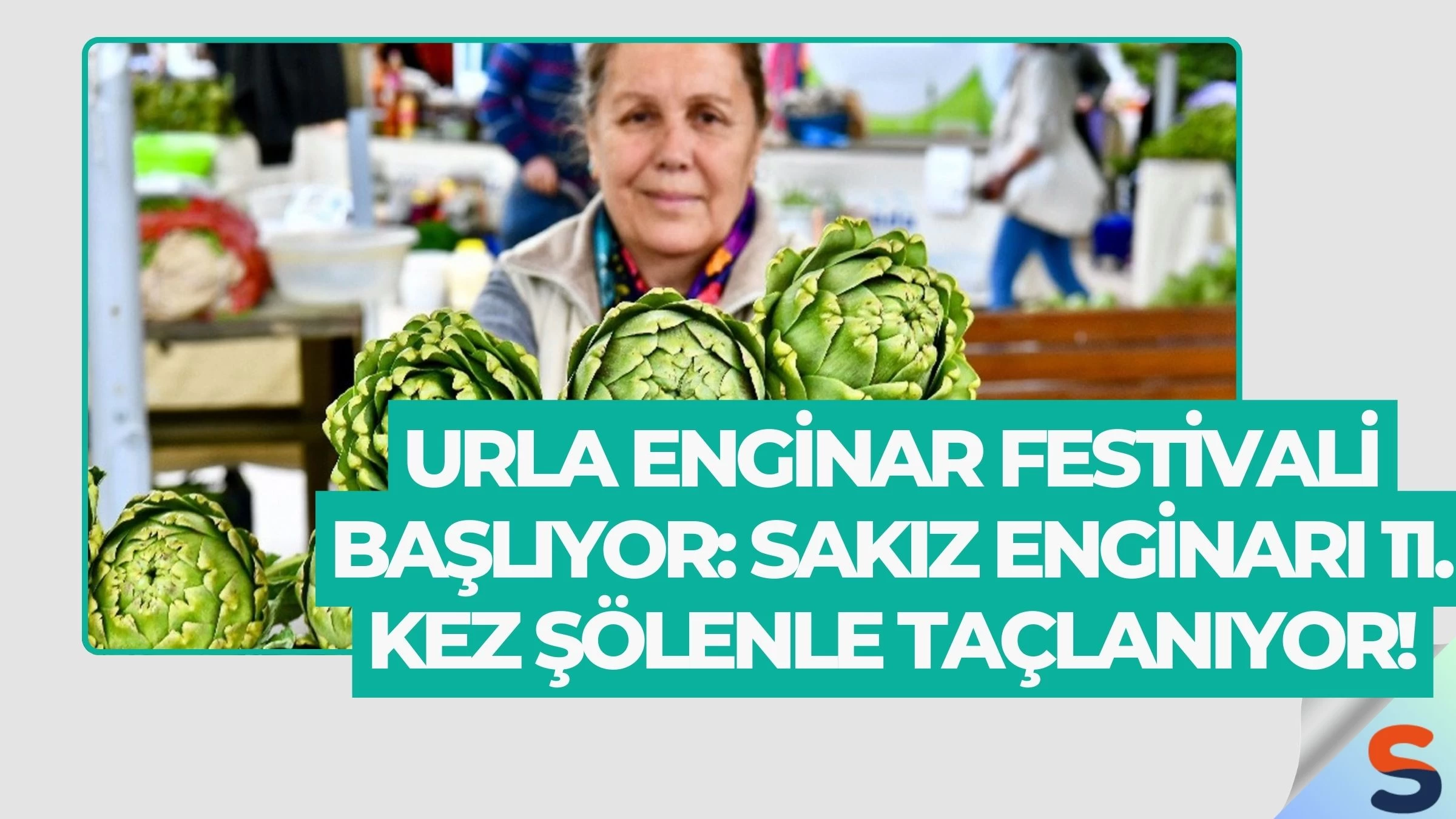 Urla Enginar Festivali Başlıyor: Sakız Enginarı 11. Kez Şölenle Taçlanıyor!