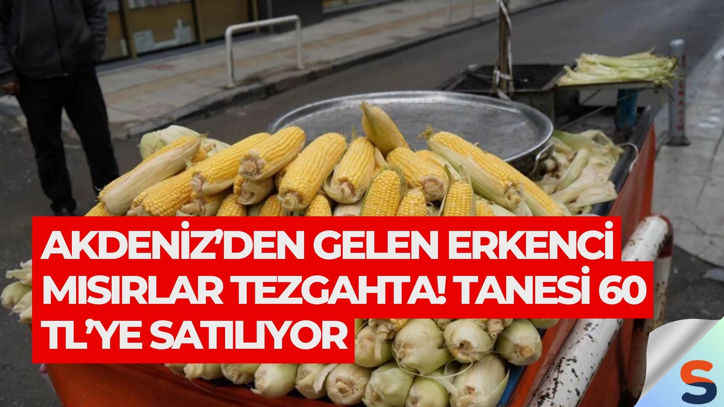 Akdeniz’den Gelen Erkenci Mısırlar Tezgahta! Tanesi 60 TL’ye Satılıyor