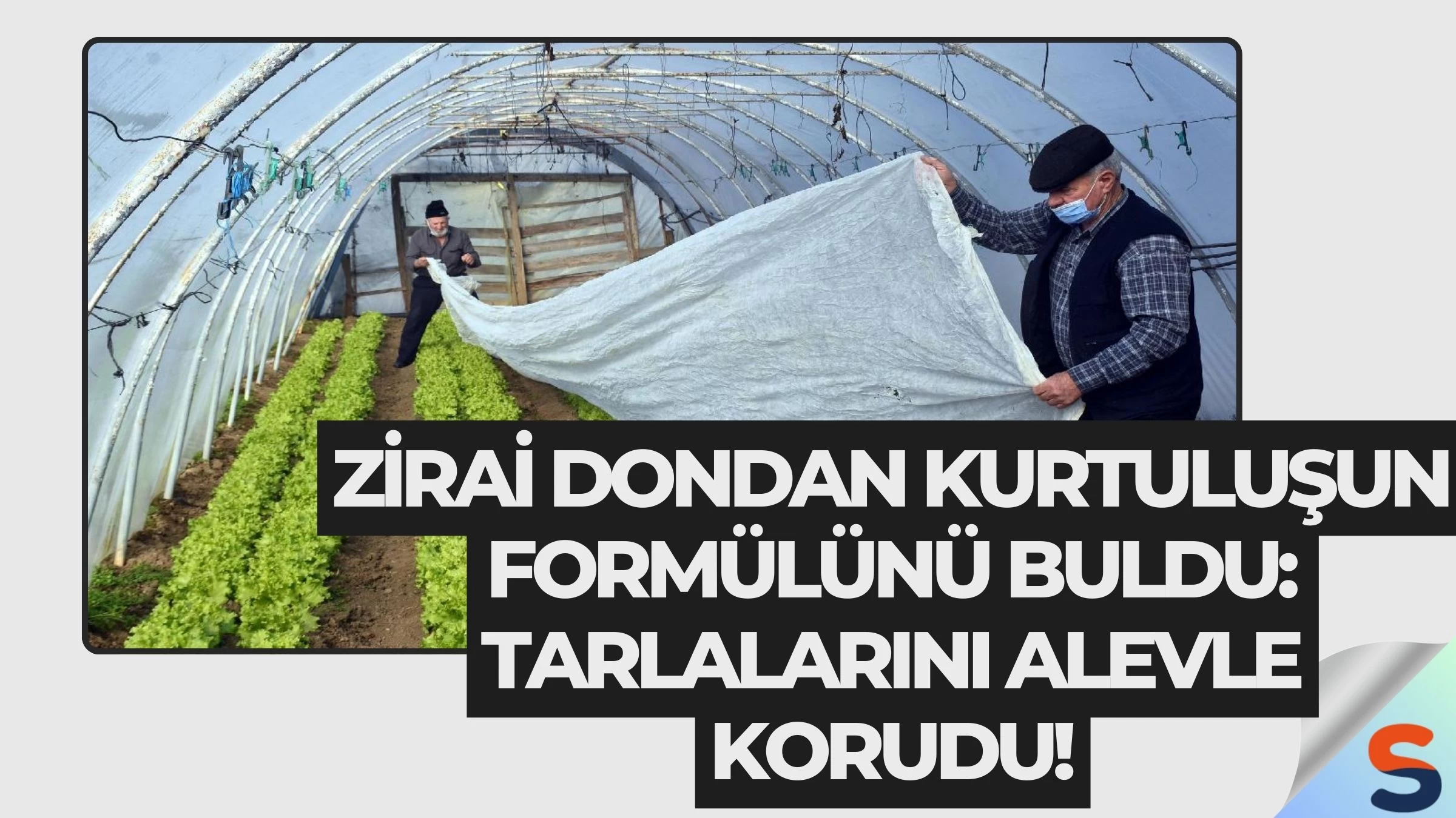 Zirai Dondan Kurtuluşun Formülünü Buldu: Tarlalarını Alevle Korudu!
