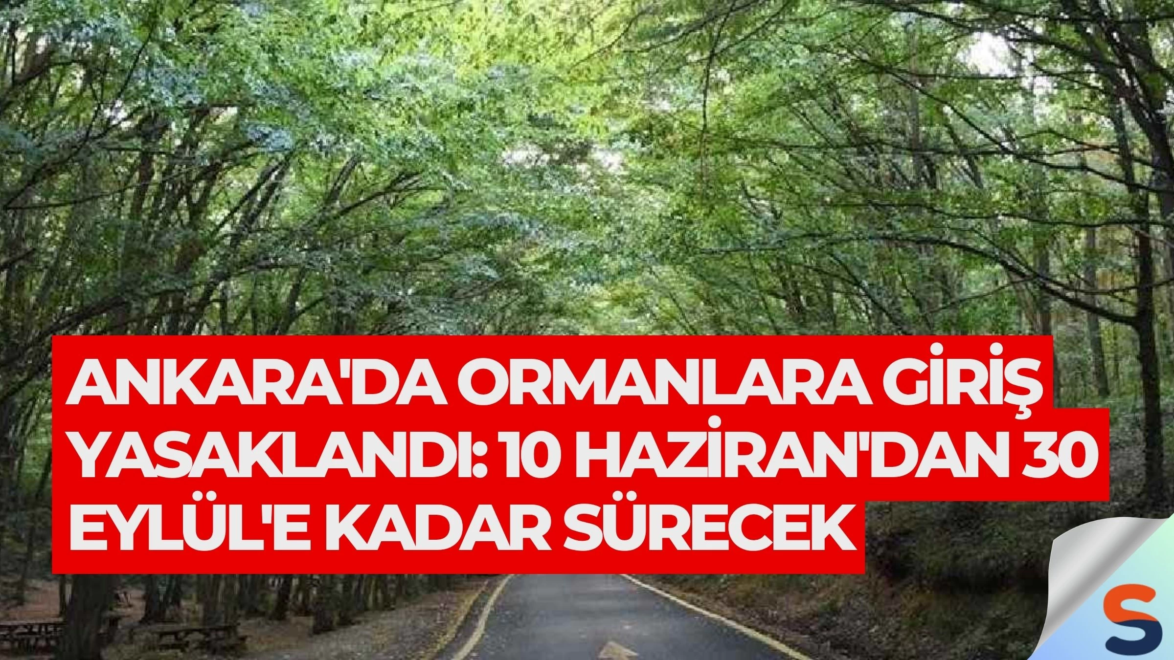 Ankara'da Ormanlara Giriş Yasaklandı: 10 Haziran'dan 30 Eylül'e Kadar Sürecek