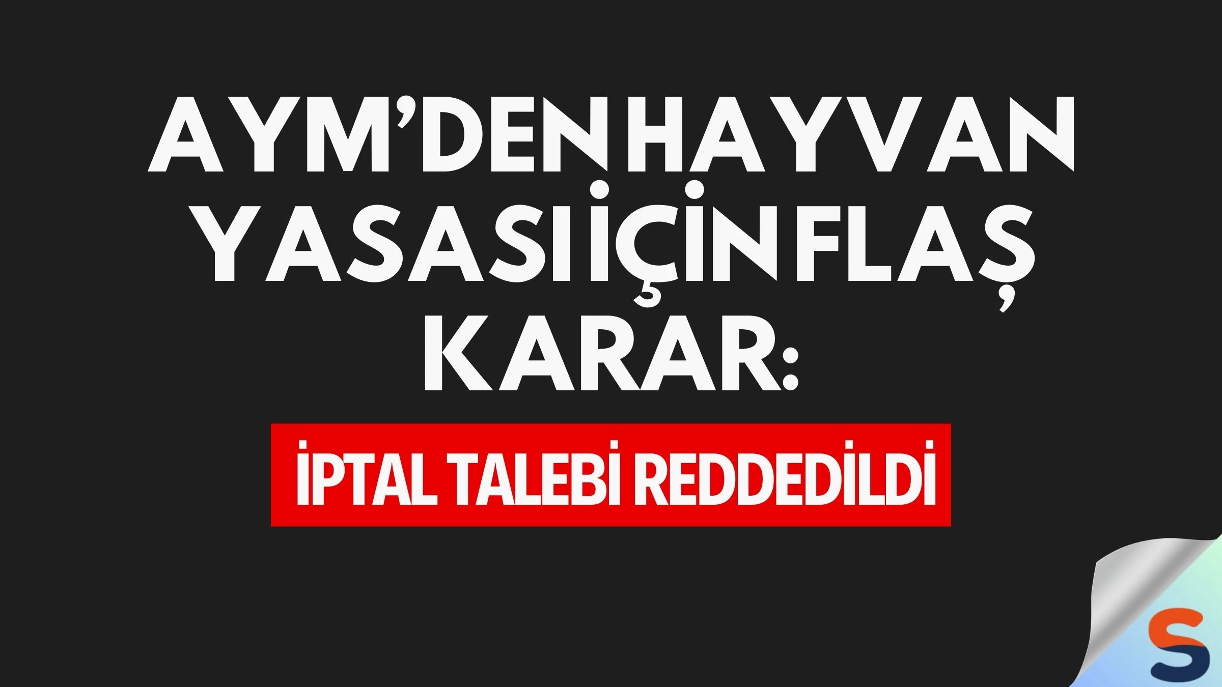 AYM’den Hayvan Yasası İçin Flaş Karar: İptal Talebi Reddedildi