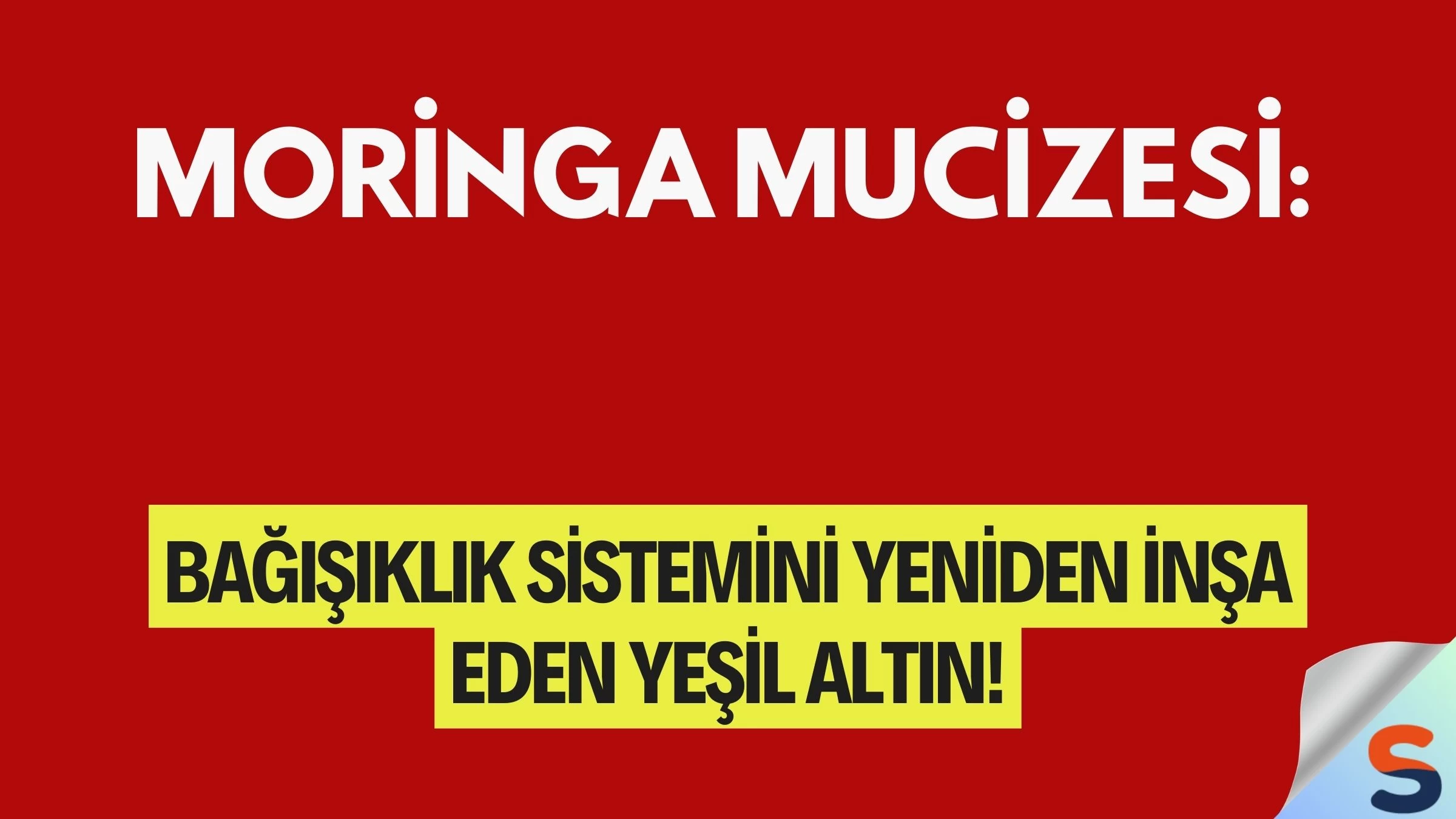 Moringa Mucizesi: Bağışıklık Sistemini Yeniden İnşa Eden Yeşil Altın!