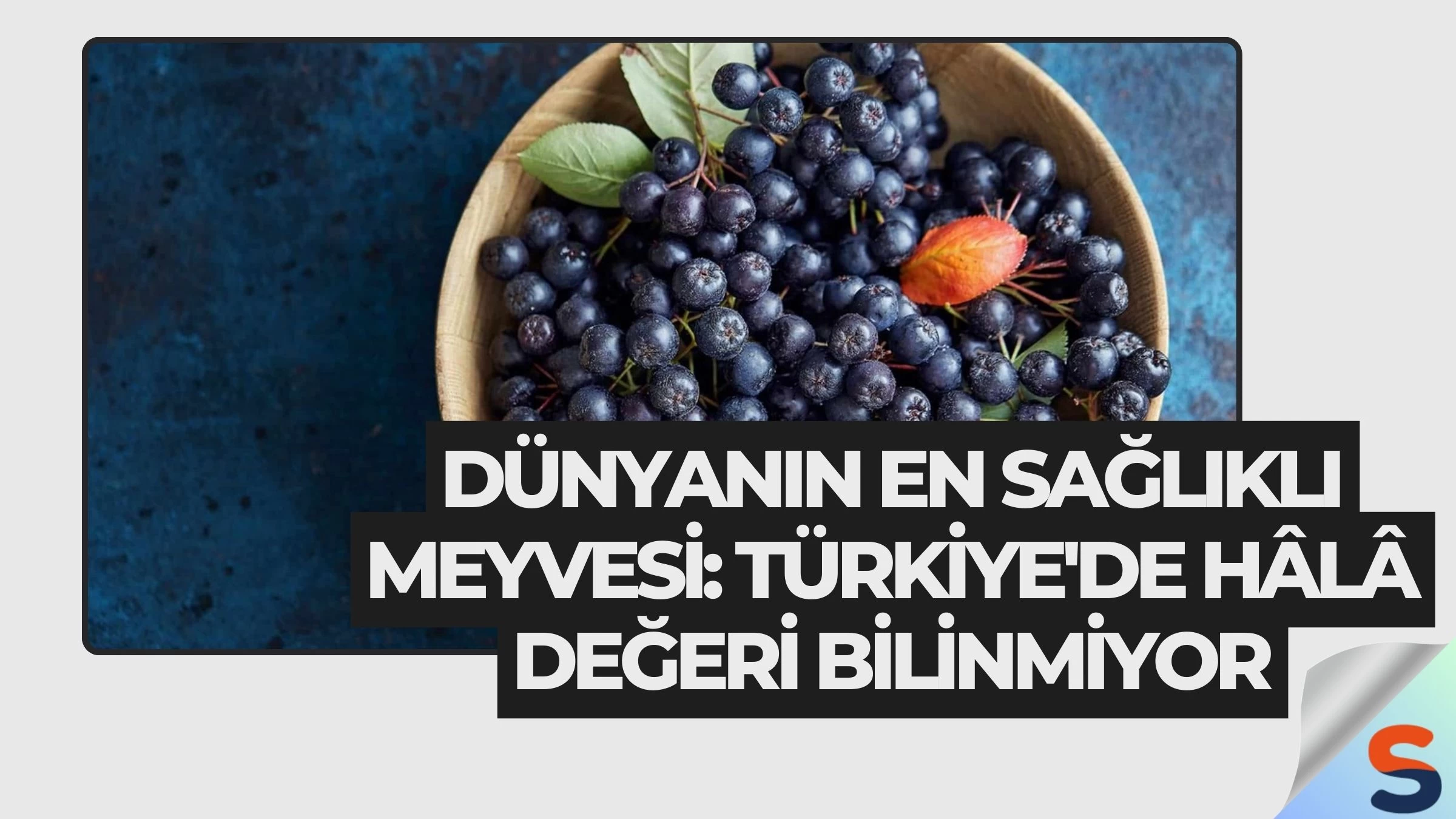 Dünyanın En Sağlıklı Meyvesi: Türkiye'de Hâlâ Değeri Bilinmiyor