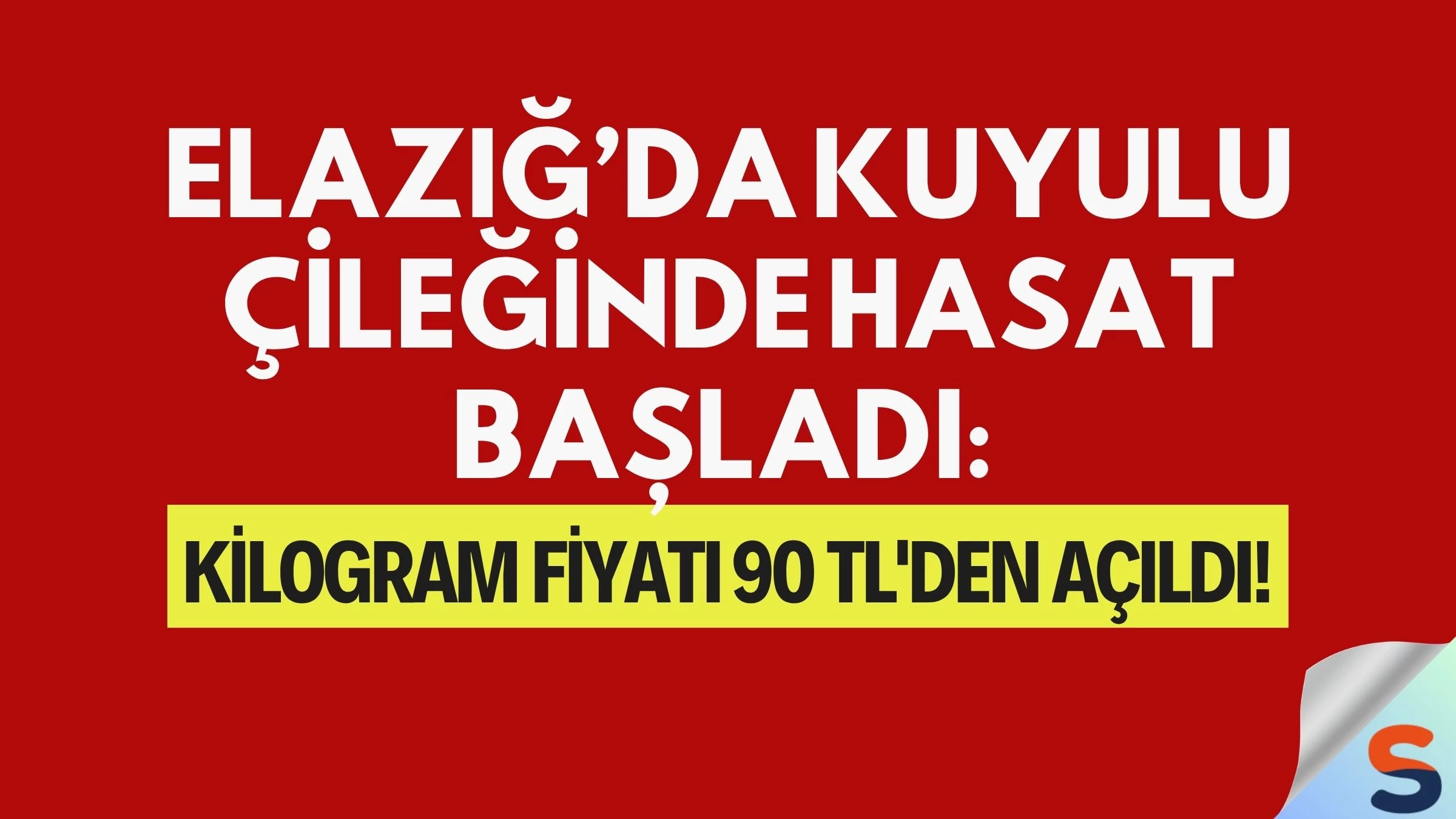 Elazığ’da Kuyulu Çileğinde Hasat Başladı: Kilogram Fiyatı 90 TL'den Açıldı!