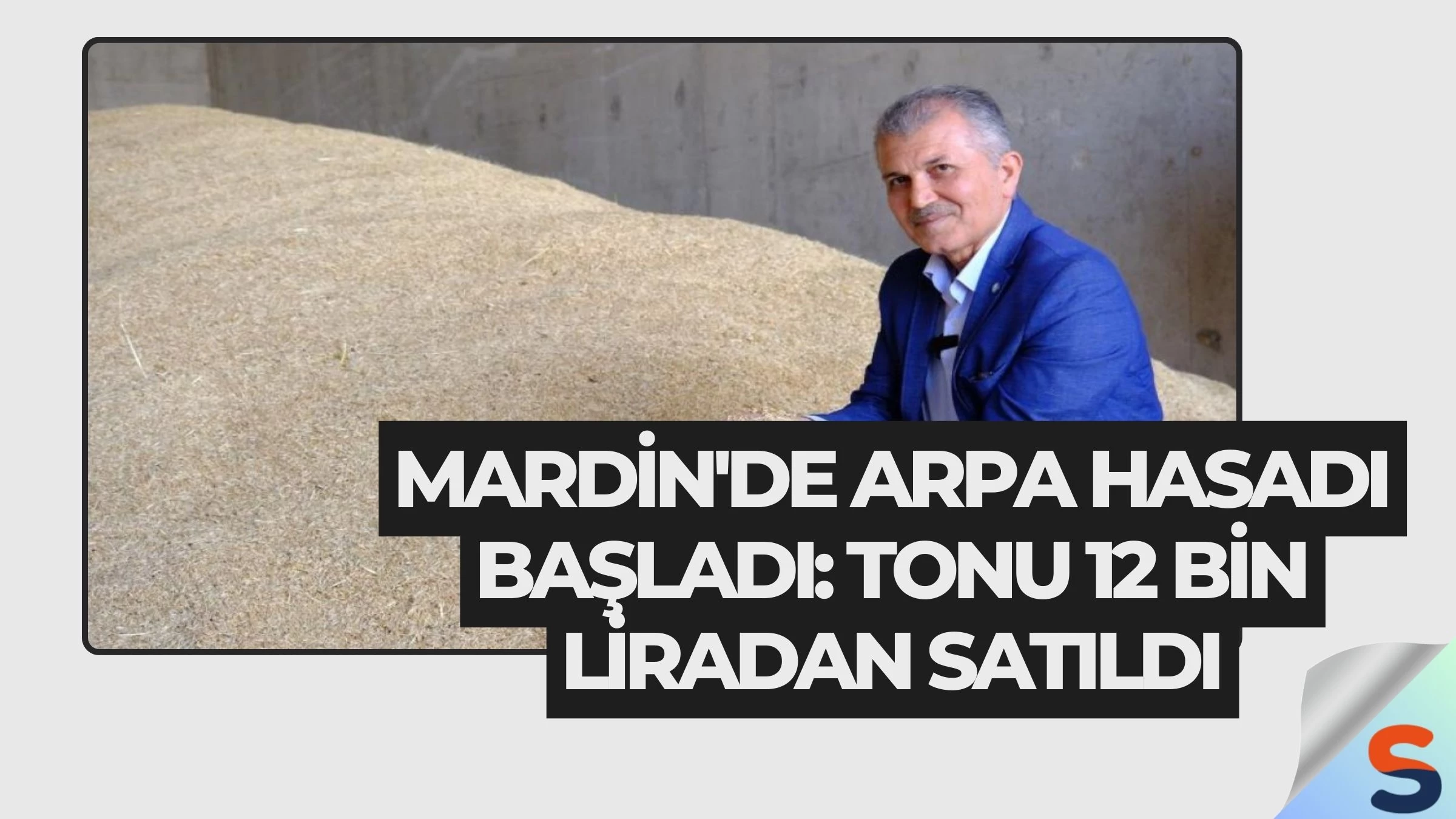 Mardin'de Arpa Hasadı Başladı: Tonu 12 Bin Liradan Satıldı