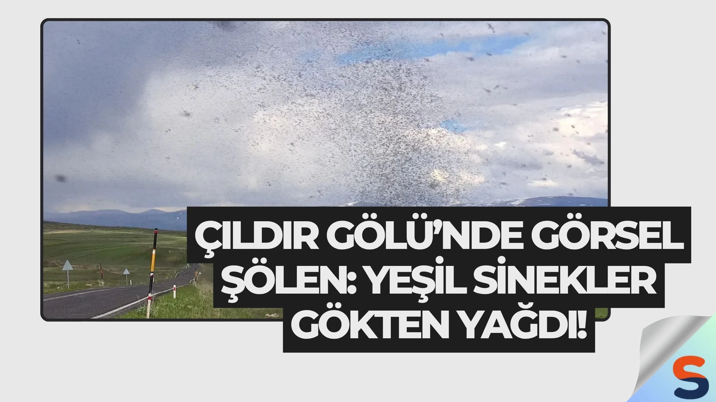 Çıldır Gölü’nde Görsel Şölen: Yeşil Sinekler Gökten Yağdı!