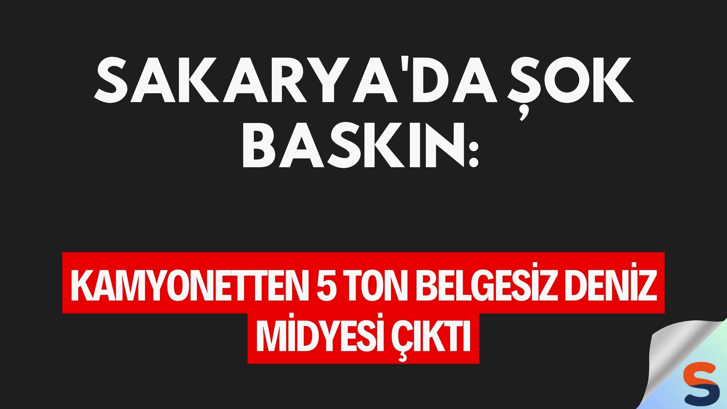 Sakarya'da Şok Baskın: Kamyonetten 5 Ton Belgesiz Deniz Midyesi Çıktı