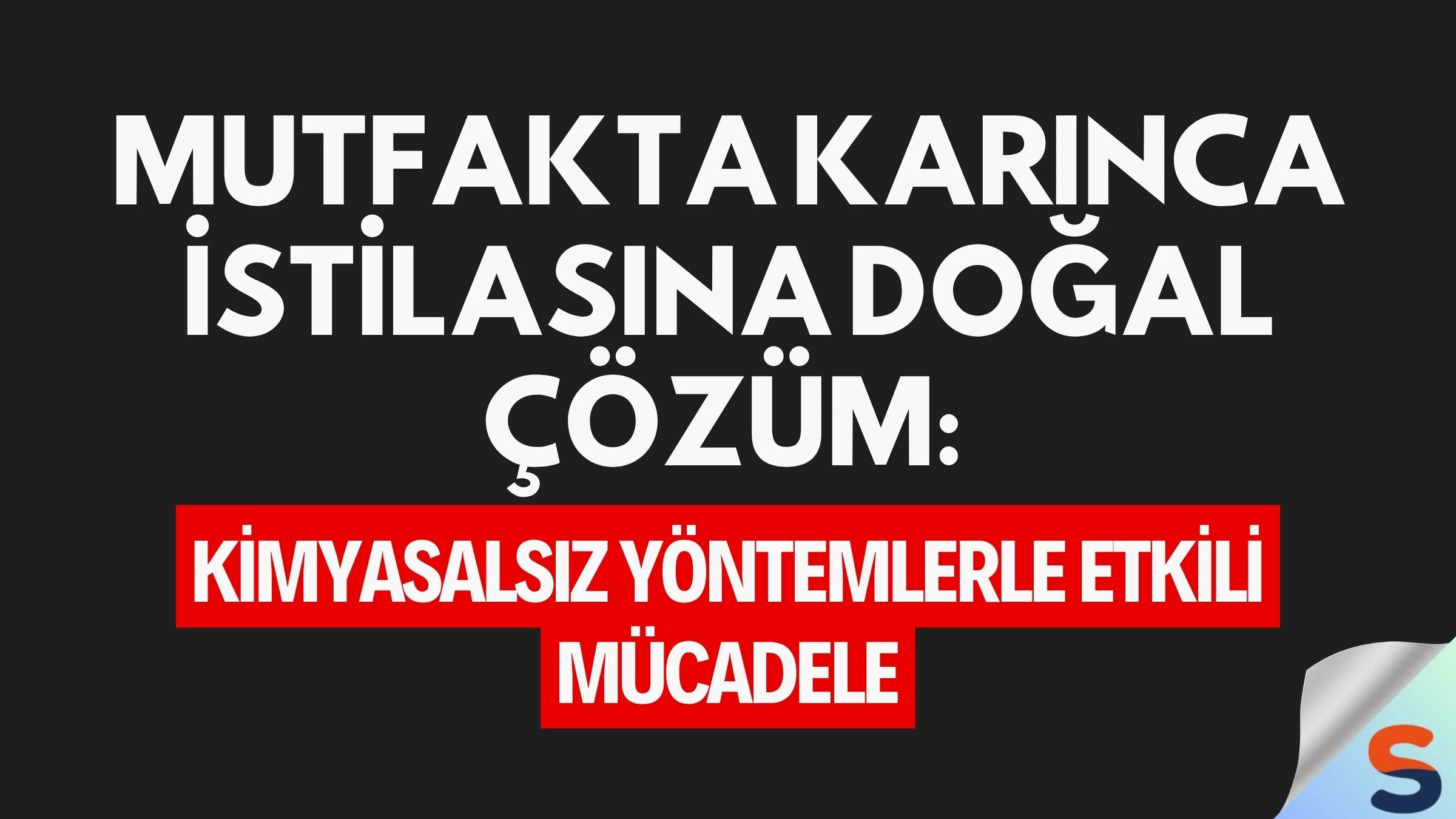 Mutfakta Karınca İstilasına Doğal Çözüm: Kimyasalsız Yöntemlerle Etkili Mücadele